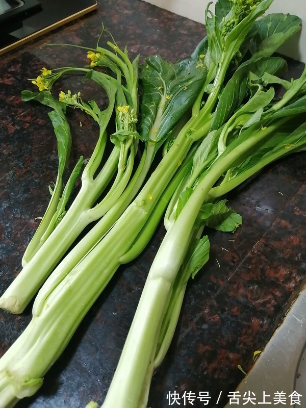 排毒|它是天然“败火良药”,牙疼还溃疡,排毒下火就靠它,随处可见到