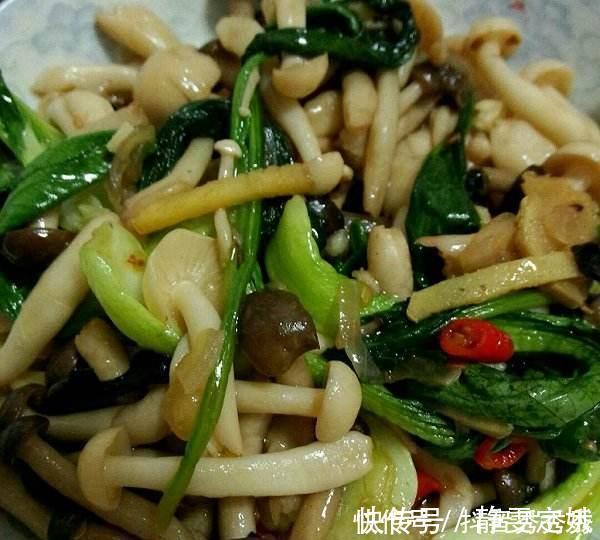 豆角|教你10款好吃易学的家常菜，不但下饭而且提高家人免疫力