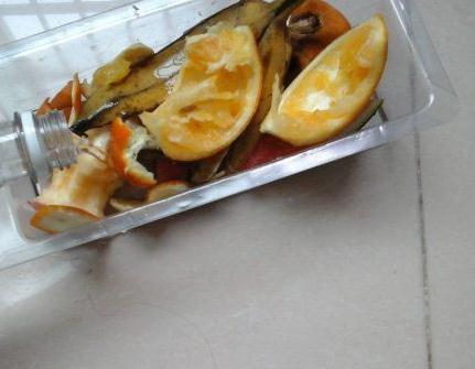 四季海棠“开花慢”吃点“小垃圾”，花朵钻全枝，花赏四季不断