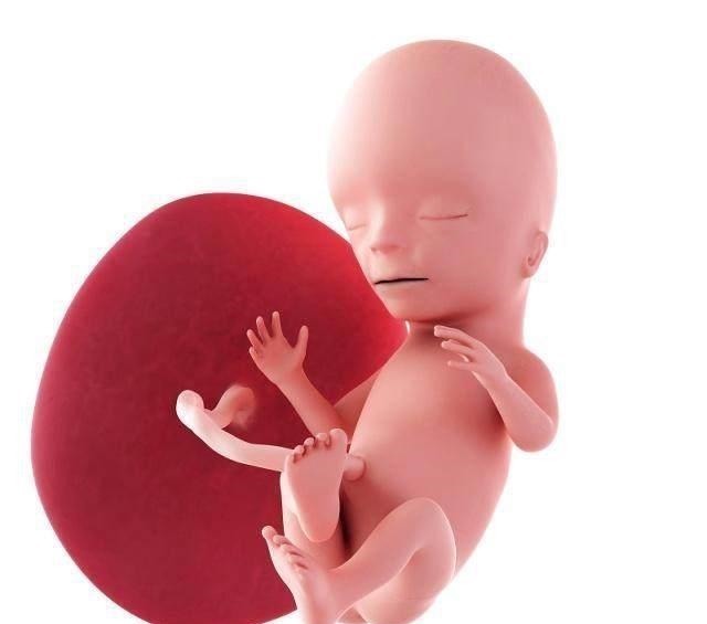 外面的世界|胎动不一样,宝宝的性格不一样,你的宝宝属于这4种的哪一种!