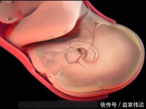 屏气|顺产的全过程到底是怎样的,生而为人需了解,请勿泪奔