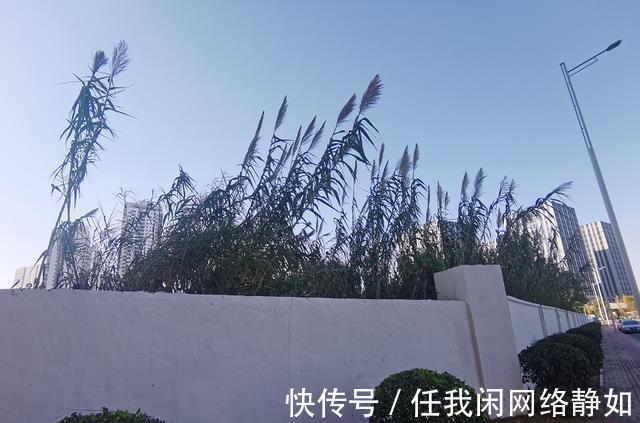 景枫|南京江宁核心区域!景枫拿地17年迟迟未动工官方回复来了!