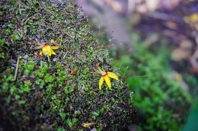 搞笑|一针见血的16条歇后语,搞笑幽默,精辟到噎人