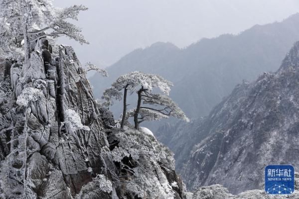 黄山风景区|雪后黄山美图来了！银装素裹，宛如仙境