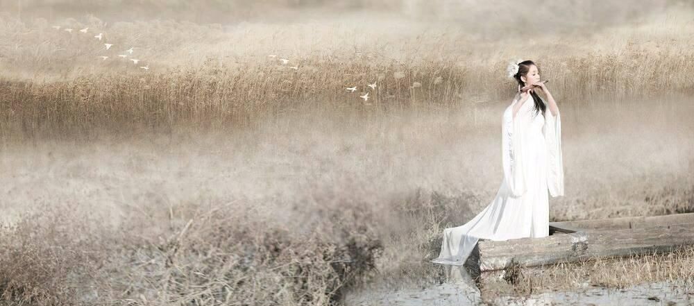 温柔|留白诗选:半世沉浮添白发，繁华不改旧温柔