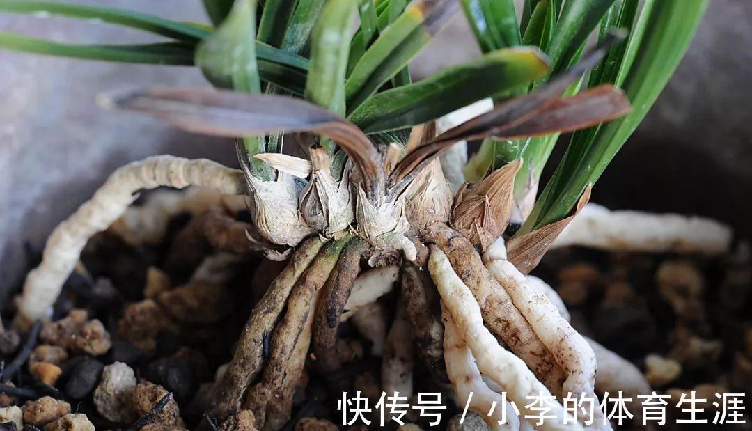 肉肉|要想成为一名合格的肉友,你还需要知道这些黑话