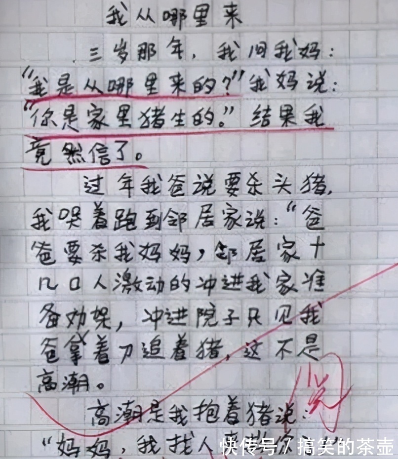 我的妈妈!小学生作文《勤劳的妈妈》,看完笑出鹅叫,爸爸:家丑不可外扬