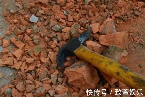 养兰花总是烂根黄叶盆底垫上常见生活垃圾,不烂根新芽冒不停