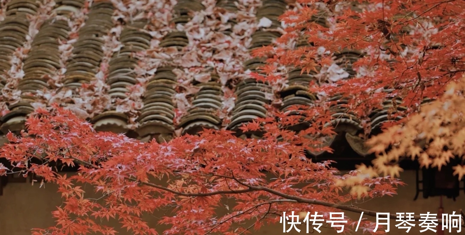 歌仔戏|写秋景的三句唐诗,王维清幽,杜甫沉郁,李白豪情万丈