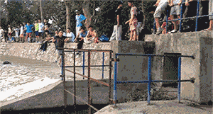 |搞笑GIF趣图:谁挖的坑,站出来,咱们聊聊