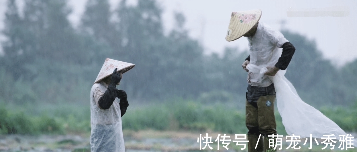 离开《舌尖上的中国》，陈晓卿做了一档更馋人的节目