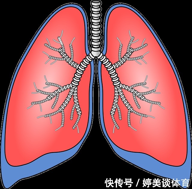 痰音|痰多百病生!中医3招,祛除痰湿,调和气血,让你年轻态、少生病