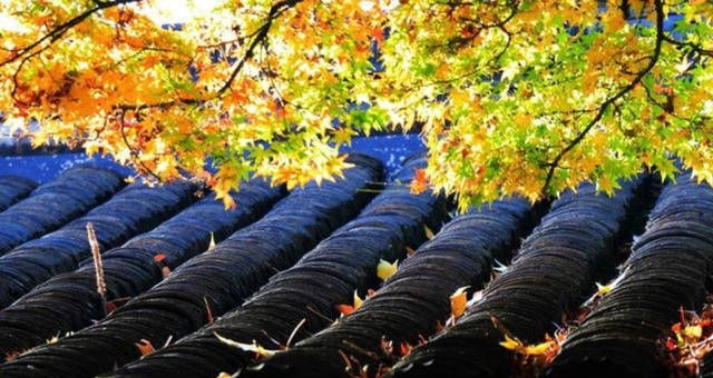 人生@辛弃疾被朋友骗了后一病不起,写下首临终绝笔,道出人生三大真谛