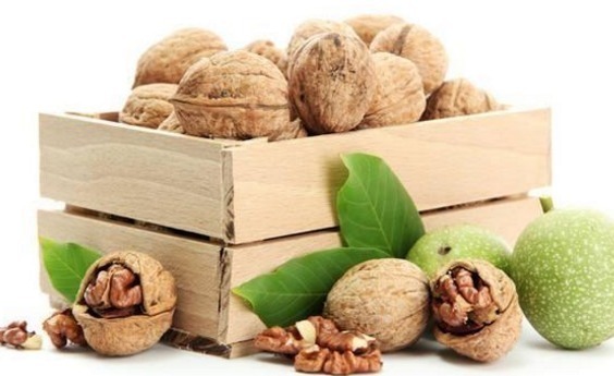 核桃性|核桃早上吃还是晚上吃很多人都弄错了,现在知道还不算晚!