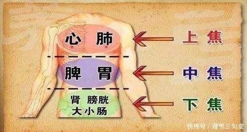 一条线|华佗松筋健康法夹脊穴养护心肝脾肺肾,比膀胱经的作用更明显