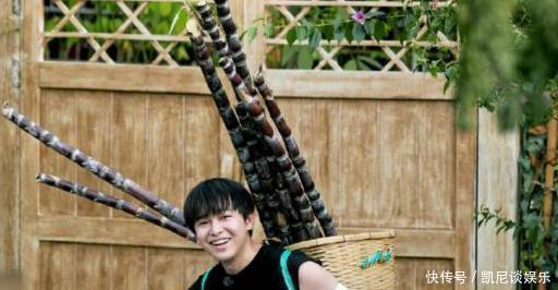 任嘉伦做客《向往的生活》,任劳任怨,发劳动感悟,提升节目品质