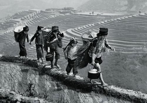 五六十年代整天吃咸菜，为什么高血压的人还少？医生说出答案