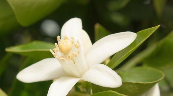 一个心眼|为人处世,一定要留4个心眼,尤其是最后一个心眼一定要留