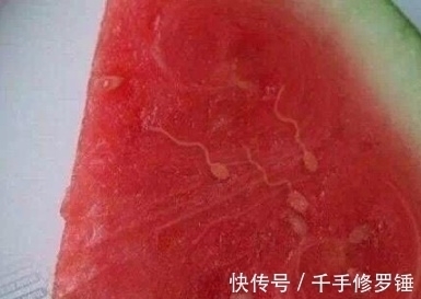 |笑话:老妈对女朋友不是很满意,抱怨道:那姑娘瘦得像个猴子似的