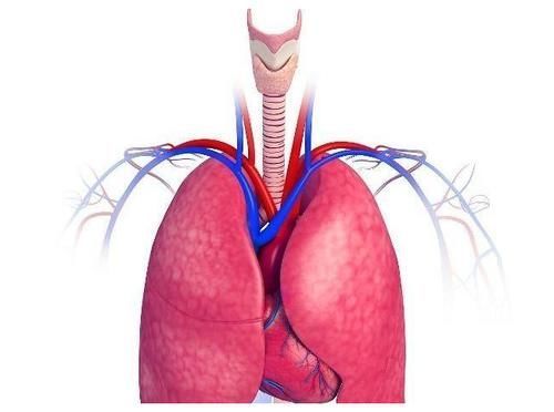 伤害|气能“气”出病来吗?教你按摩三个穴位,帮你解解气,早看早知道
