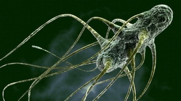 家底|1人患癌家底掏空!癌细胞“害怕”你坚持5件事,做到两件也不错