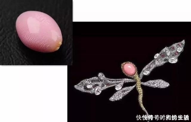 巴罗达|一颗珍珠卖上亿,世界上最负盛名的5件珍珠,长什么样?什么价?