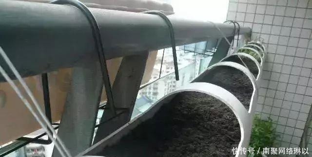 开槽|阳台别再晒衣服了,用一根水管,就能种出全家人吃的菜!