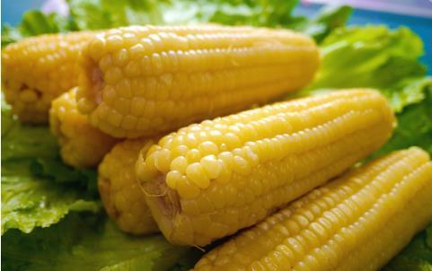 恭喜你吃了煮玉米,玉米有六个好处,你知道什么