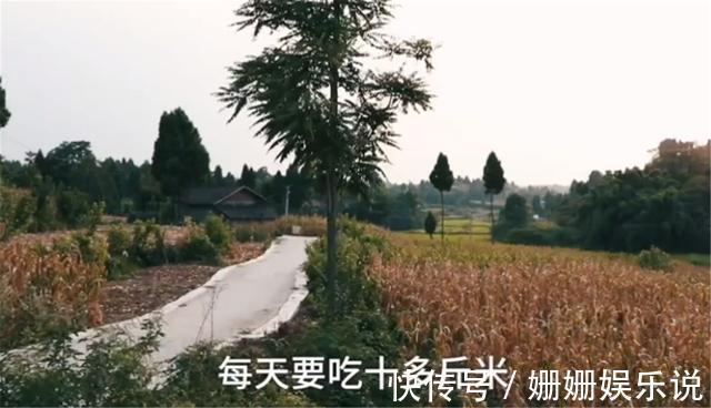 结局|夫妻15年间生11个孩子,称“存钱不如存人”,孩子的结局令人唏嘘