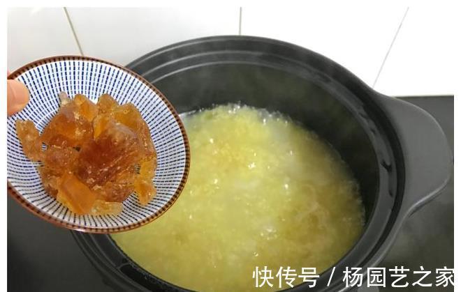 养胃|维生素C是苹果的10倍,和小米煮成粥,养胃去秋燥,隔三差五必