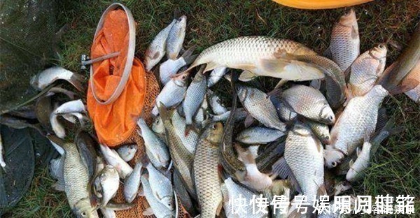 钓目|冬季钓鲫鱼,调漂不可追求灵敏,用这两种调漂方法,顿口更清晰!