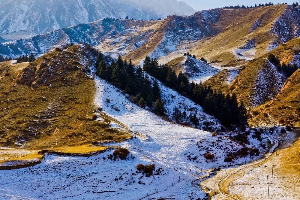 祁连山|【组图】肃南：雪后祁连山分外妖娆