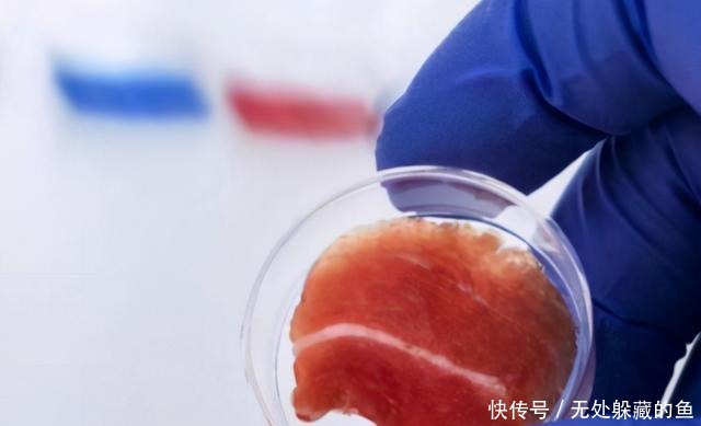 肯德基|肯德基“变”绿了,用植物做汉堡,前景如何