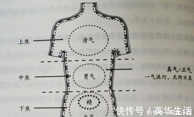 脾胃|冬季手脚冰凉、上热下寒、特别怕冷那是你的阳气跑错地方了！