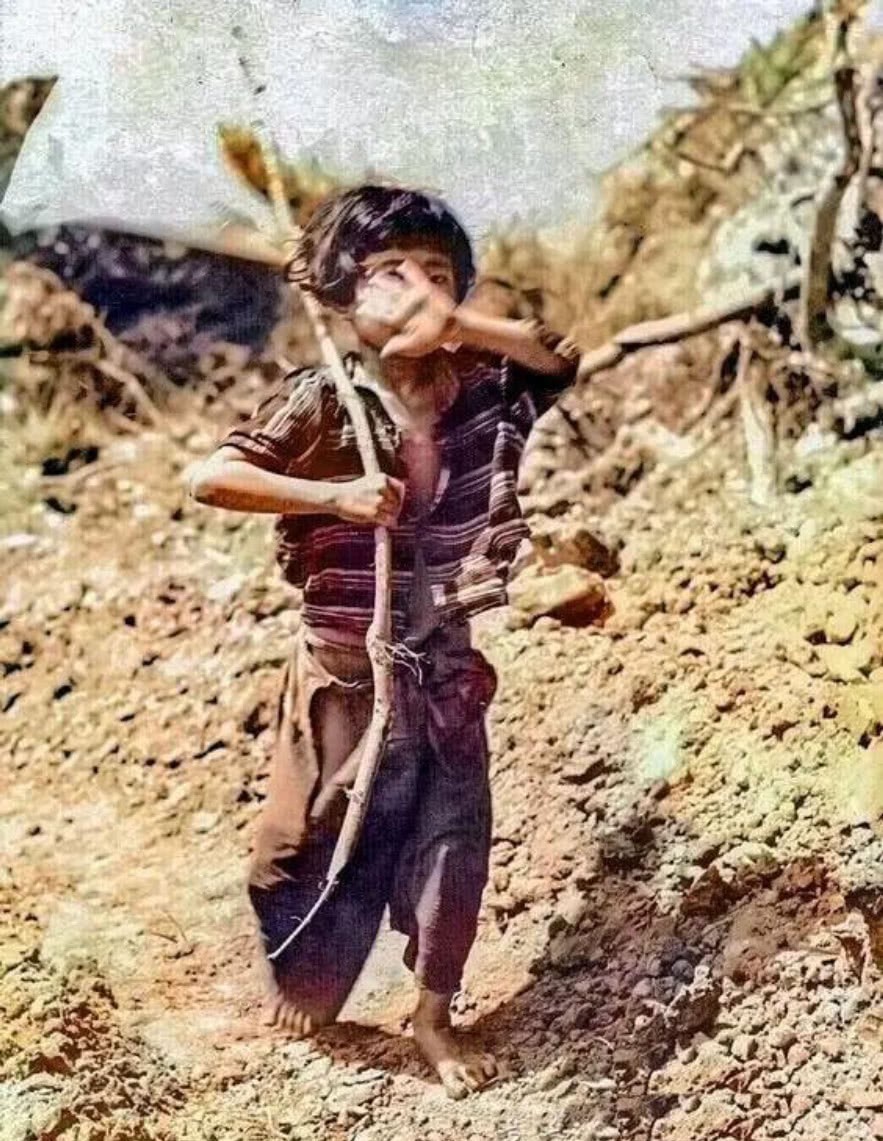 美国|冲绳岛战役，一个小女孩举着白旗向美军投降，她后来怎么样了？