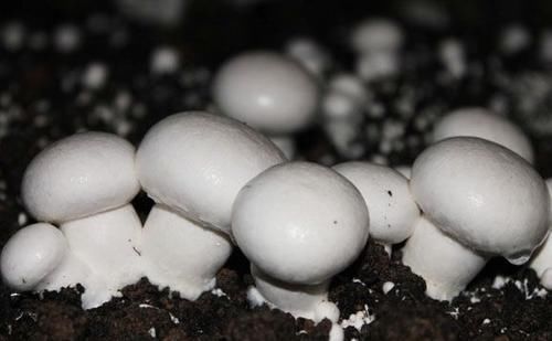 润肤|女性想要年轻态，常吃三种食物，排毒润肤，改善肤色，更漂亮