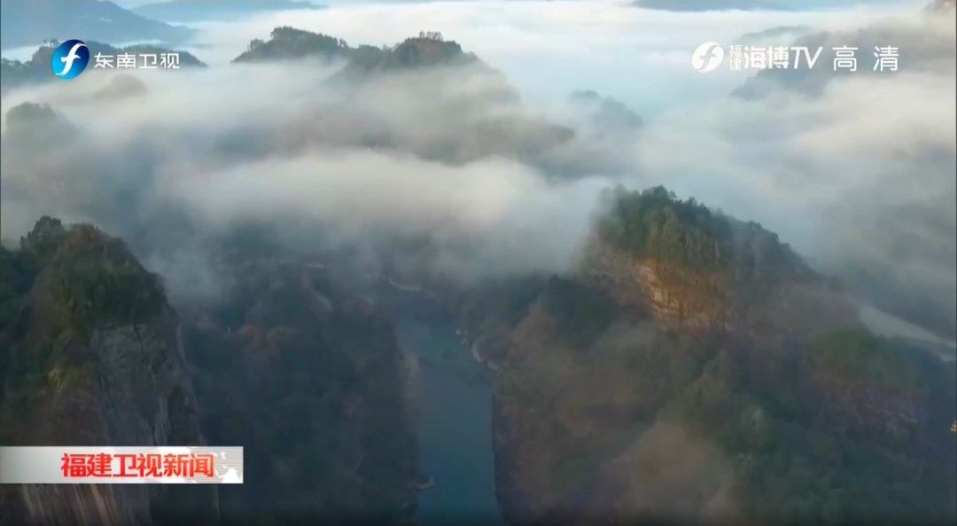 大红袍|安排上了！明起，武夷山主景区免门票