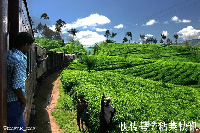 铁路|斯里兰卡高山茶园火车 速度比汽车还慢 挂火车成为一种时尚