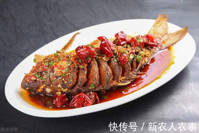 六旬大爷自创抓鱼独门绝技,10分钟脚踩22条,收获远超专业钓鱼人