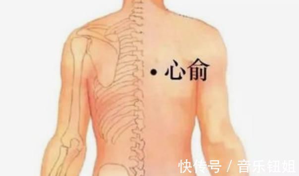 足三里穴|湿气严重怎么办4个穴位每天敲几下,把体内寒、湿毒气都逼出来