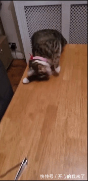 |今日笑话:妈妈要求很高啊