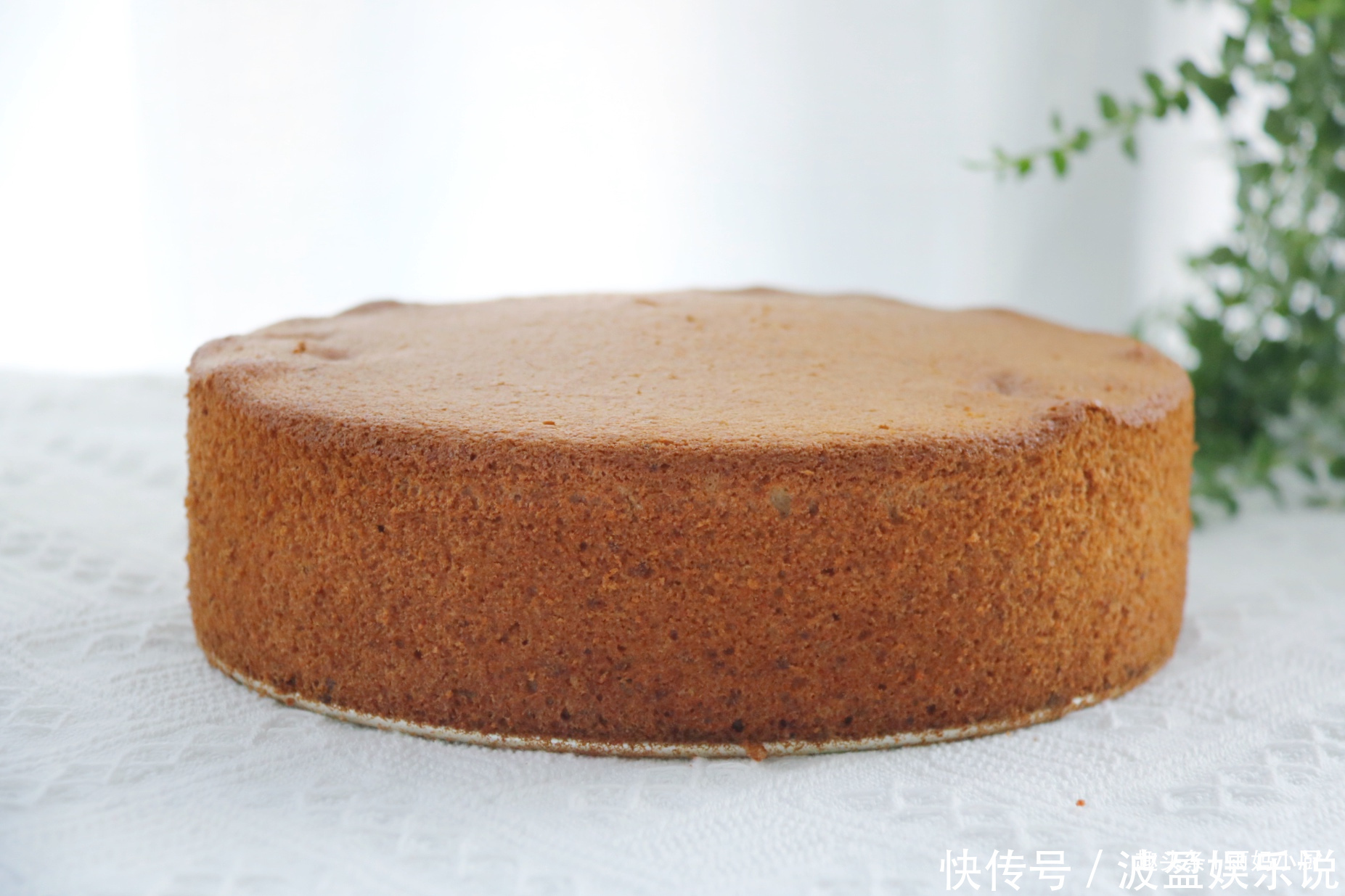  口感|红枣别只会煮饭了，用来做蛋糕枣香浓郁，口感松软越吃越香