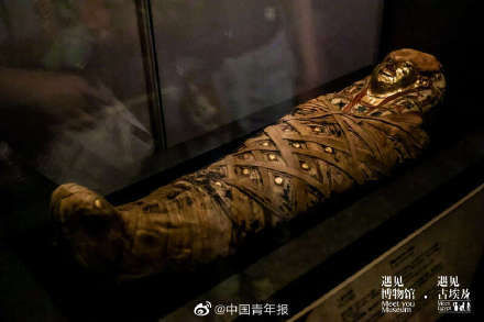 木乃伊|黄金木乃伊来了!