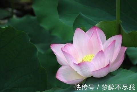 水木生财局|10月中旬，贵人相助，4属相财运亨通，事业进步，生活蒸蒸日上