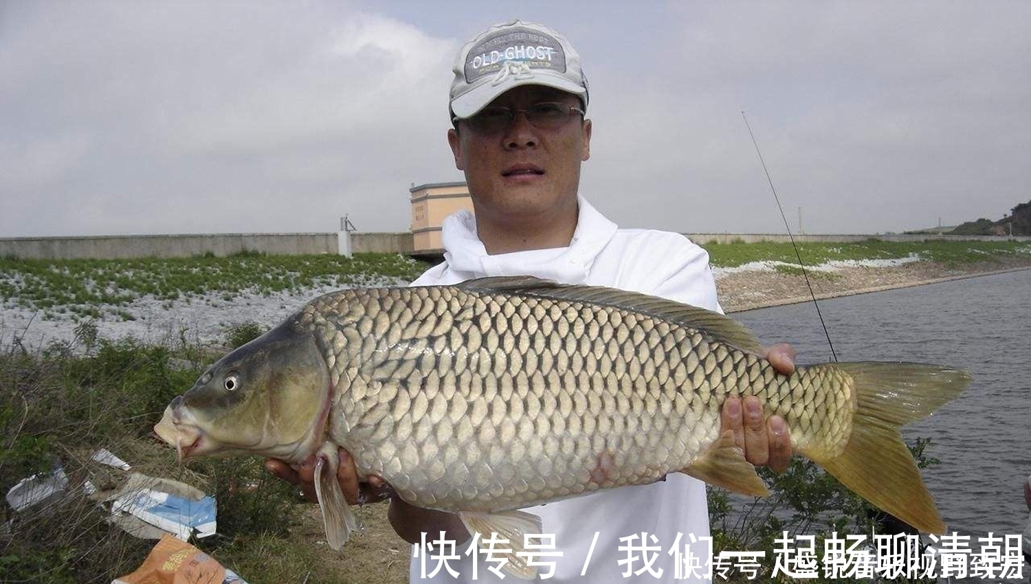 金顶|什么物质的气味是鲤鱼非常喜欢的?钓鲤鱼轻松爆护的四种物质