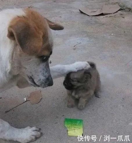 |搞笑GIF:我最喜欢的女神,但这个走路姿势有点汉子