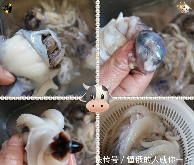 麻辣八爪鱼,Q弹下饭,麻辣鲜香