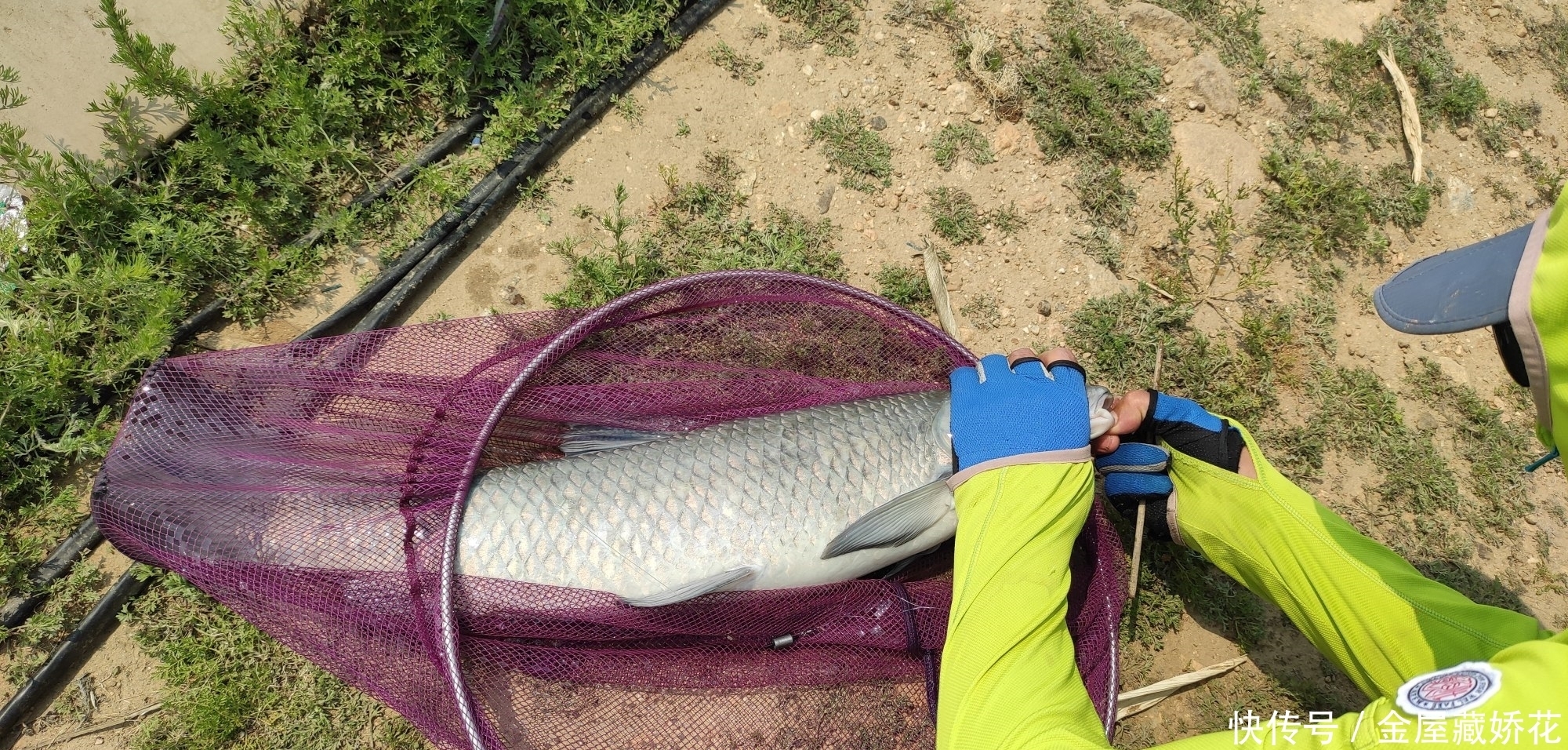 专利不跑鱼的鱼钩,究竟是不是钓鱼必备利器?带你一探究竟