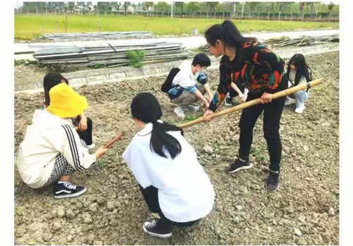 上海对外经贸大学ClC劳动教育实践课程上线，学生“秒抢”