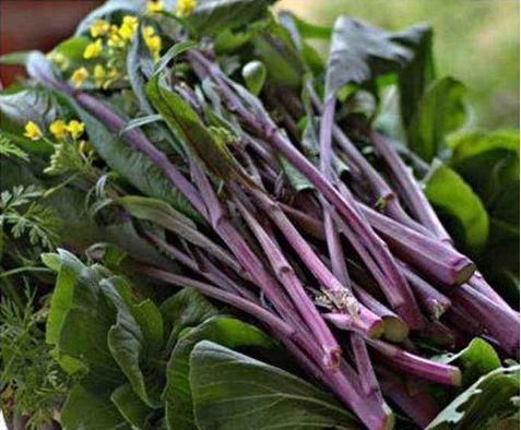 食物|中年人爱美，不可忽略的食物，促进脂肪的燃烧，越吃越瘦，身体好